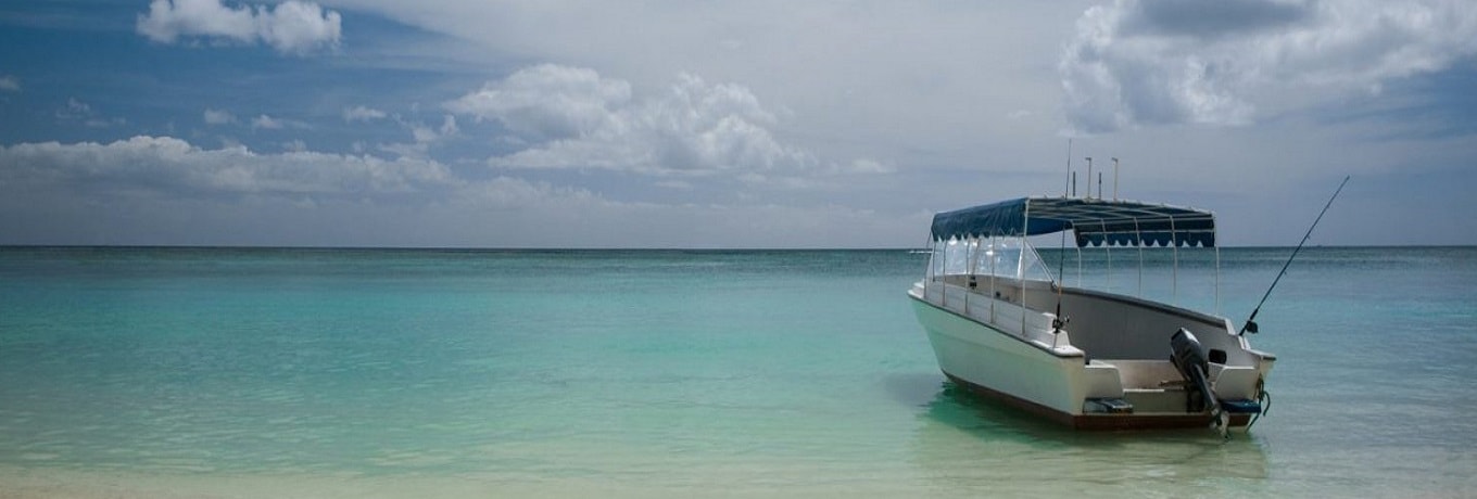 Boat Tours