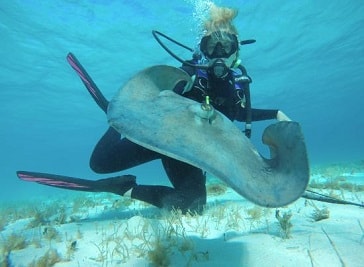 Cayman Turtle Divers
