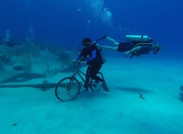 Don Foster's Dive Cayman