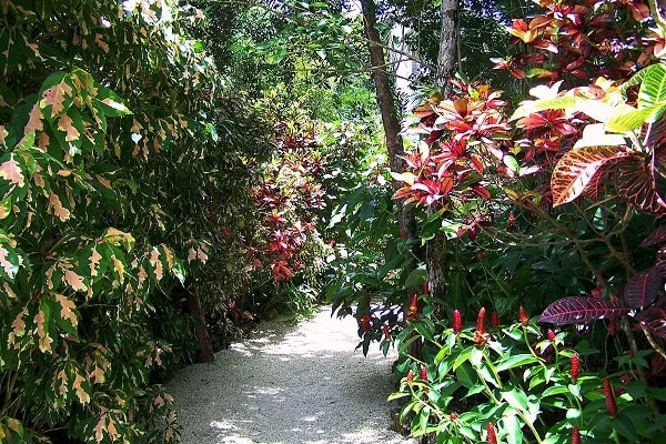 Queen Elizabeth II Botanic Park in Cayman Islands